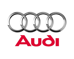 Audi india